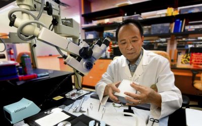 Of Mice and Men: How Joe Tsien became a celebrated scientist without a country