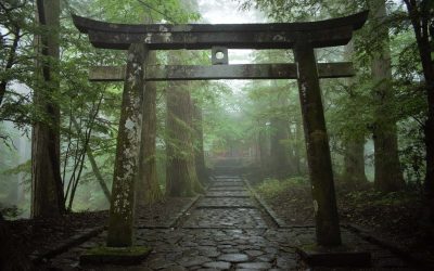 Spiritual but not religious: Why Japan’s Shintoism is attracting American followers and growing online