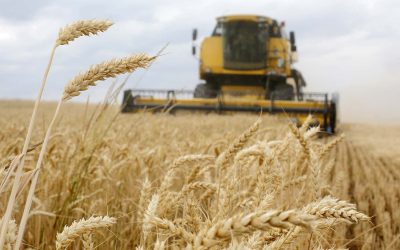 Fears of global food crisis: Putin’s assault on Ukraine has disrupted the output of a major “breadbasket”
