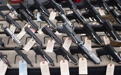 Wisconsin activists mobilize against looser gun laws as Governor vetoes bills that threaten public safety