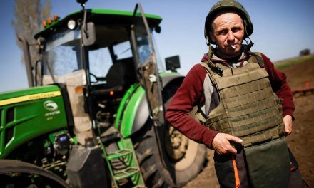 Breadcrumbs from a breadbasket: How war in Ukraine created a perfect storm for global food scarcity