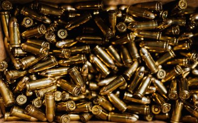 Congressional committee report accuses Gun Industry of “profiting off the blood of innocent Americans”
