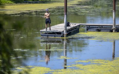 Advocates hope Federal program to clean Great Lakes can help stretch of Mississippi River along Wisconsin