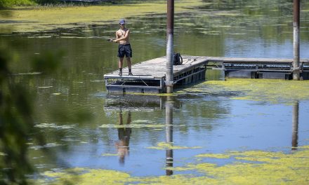 Advocates hope Federal program to clean Great Lakes can help stretch of Mississippi River along Wisconsin