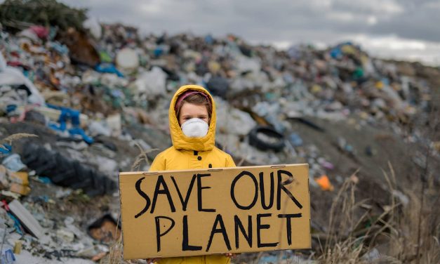 A planetary crisis: Expanding universal human rights to include a healthy and sustainable environment