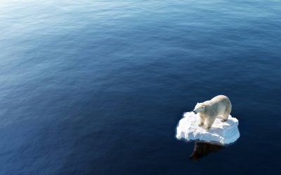 Alarming ice melt: New study shows Arctic has warmed nearly four times faster than the rest of the world