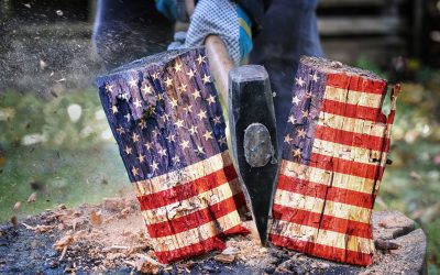 A complete lie: Understanding the propaganda behind the political meme that “America is a 50/50 nation”
