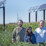 A skeptical Corn Belt: Researchers seek methods to unobtrusively install solar stations on farmland