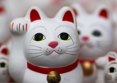 102322_CatDay_01_STK_ManekiNeko_AlisiaLuther