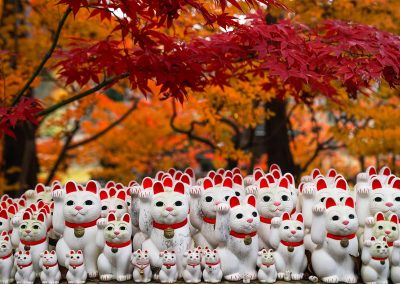 102322_CatDay_03_STK_ManekiNeko_KellyLam