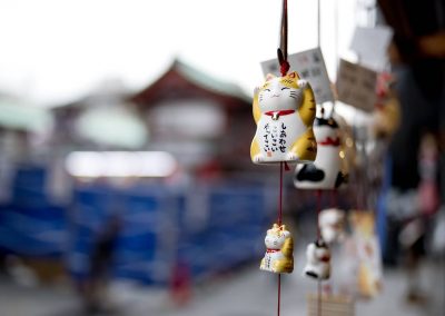 102322_CatDay_12_STK_ManekiNeko_Deardiz