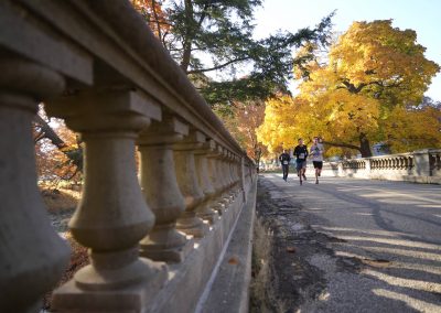 102922_DiaDeLosMuertos5K_0812