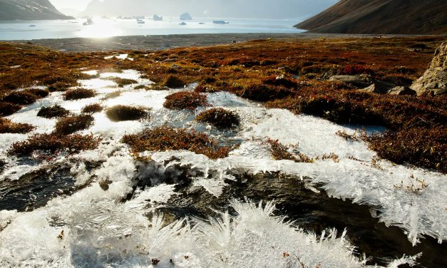 Zombie Virus: Scientists reanimate 50,000 year-old microbes released in thawing Siberian Permafrost
