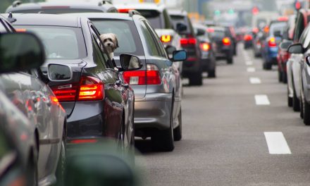 Phantom traffic jams: Cars equipped with AI could help local drivers ease rush hour congestion