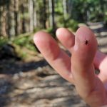 A parasitic industry: Understanding why America does not define healthcare as a basic human right