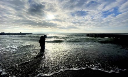 Atmospheric carbon might make Great Lakes more acidic and inhospitable for some fish and plants