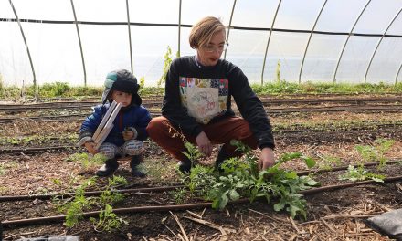 The Queer family farm: LGBTQ farmers find fertile ground in Wisconsin despite social obstacles