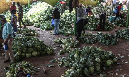 Developing countries can reduce hunger and slow climate change by using solar-powered refrigerators