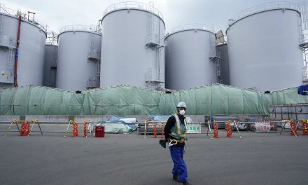 Safe decommission of Fukushima nuclear plant still not possible as extent of damage remains unknown