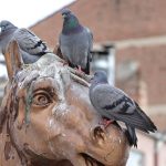 Horse and Sparrow Economics: Why Republicans are reviving Reagan’s trickle-down fraud to fund the rich