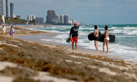 A biological hot spot: How the Atlantic Sargassum Belt is inundating coastlines with brown seaweed