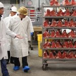 Underage Exploitation: Federal government urges U.S. meat companies to comply with child labor laws