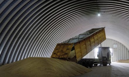 Food Crisis: Scarcity fears over flooding in southern Ukraine causes global wheat prices to soar