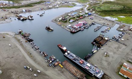 First U.S. deep water port in Arctic hosts cruise ships after climate ice melt opens shipping lanes