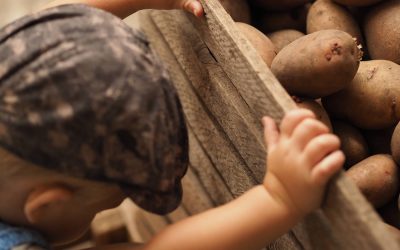 Abandoning Kids: Why Republican-dominated state legislatures are pushing to weaken child labor laws