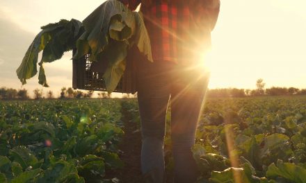 Sexual Violence: How the United States could reduce a pervasive threat for female farm workers