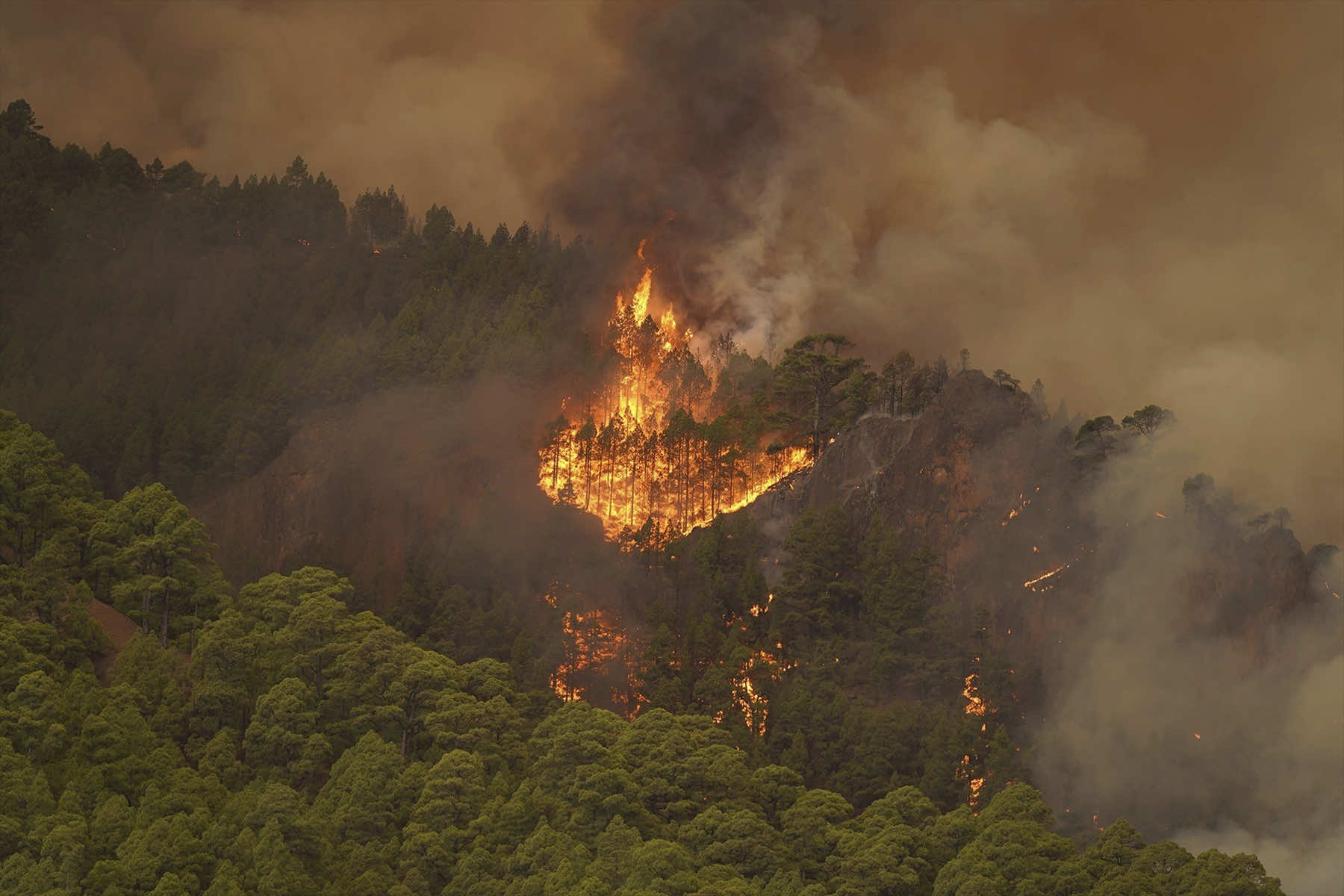 The Best Wildfire Preparedness Supplies and Strategies of 2023