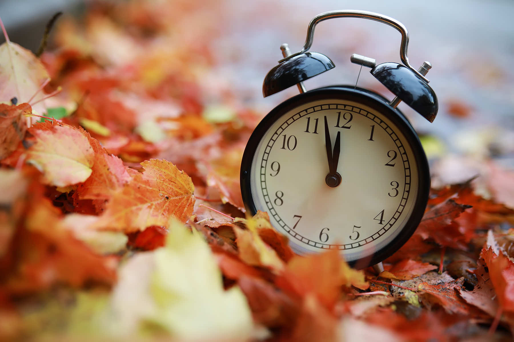 Daylight Savings 2023: It's finally time for clocks to 'fall back,' Daylight  Saving Time end this year 