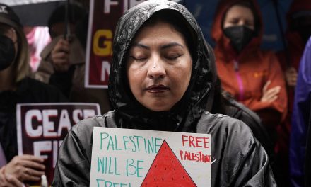 Protest fruit: How watermelon imagery became a global symbol of solidarity with Palestinians