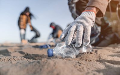 Unable to reduce waste: Recycling lags behind as plastic production grows exponentially worldwide