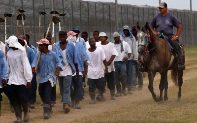 Prison to plate: Incarcerated workers are part of a hidden workforce behind many popular food brands