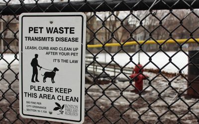 Poop and Parasites: How pet owners contribute to spreading disease by abandoning pet waste