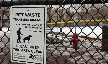 Poop and Parasites: How pet owners contribute to spreading disease by abandoning pet waste
