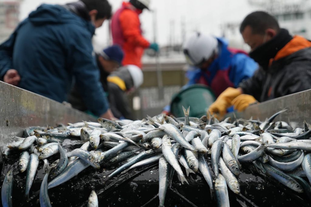 00_030624_Kesennuma_0415