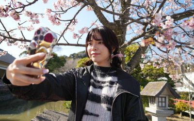 From Snow to Sakura: Japan’s cherry blossom season feels economic impact of climate change