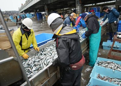 030624_Kesennuma_0294