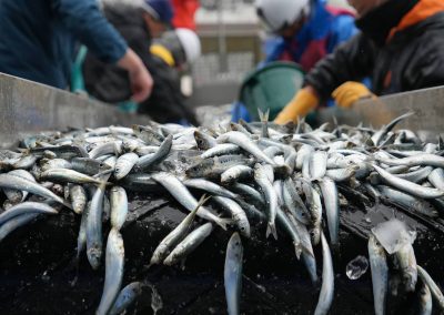 030624_Kesennuma_0413