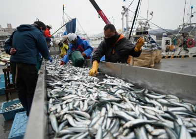 030624_Kesennuma_0665