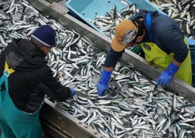 030624_Kesennuma_0994