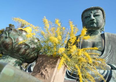 031424_Kamakura_0629