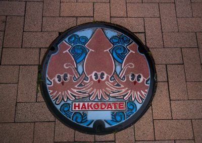 040324_ManholeCovJP_03b