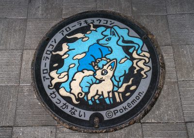 040324_ManholeCovJP_y02