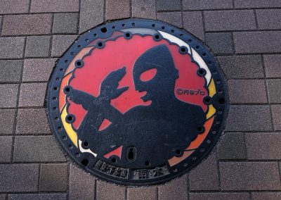 040324_ManholeCovJP_y05