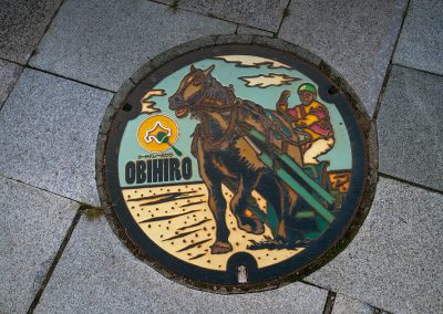 040324_ManholeCovJP_y11