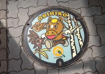 040324_ManholeCovJP_z04