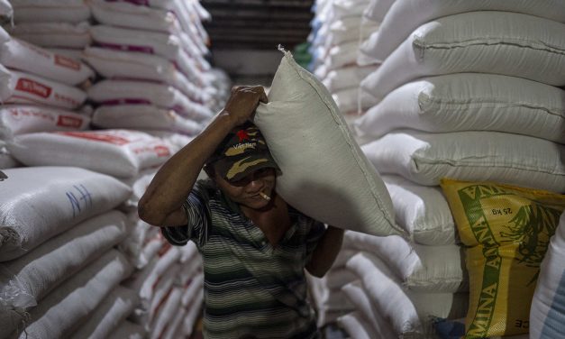 Crop science: Farmers in Vietnam try to reduce methane emissions by changing the way they grow rice